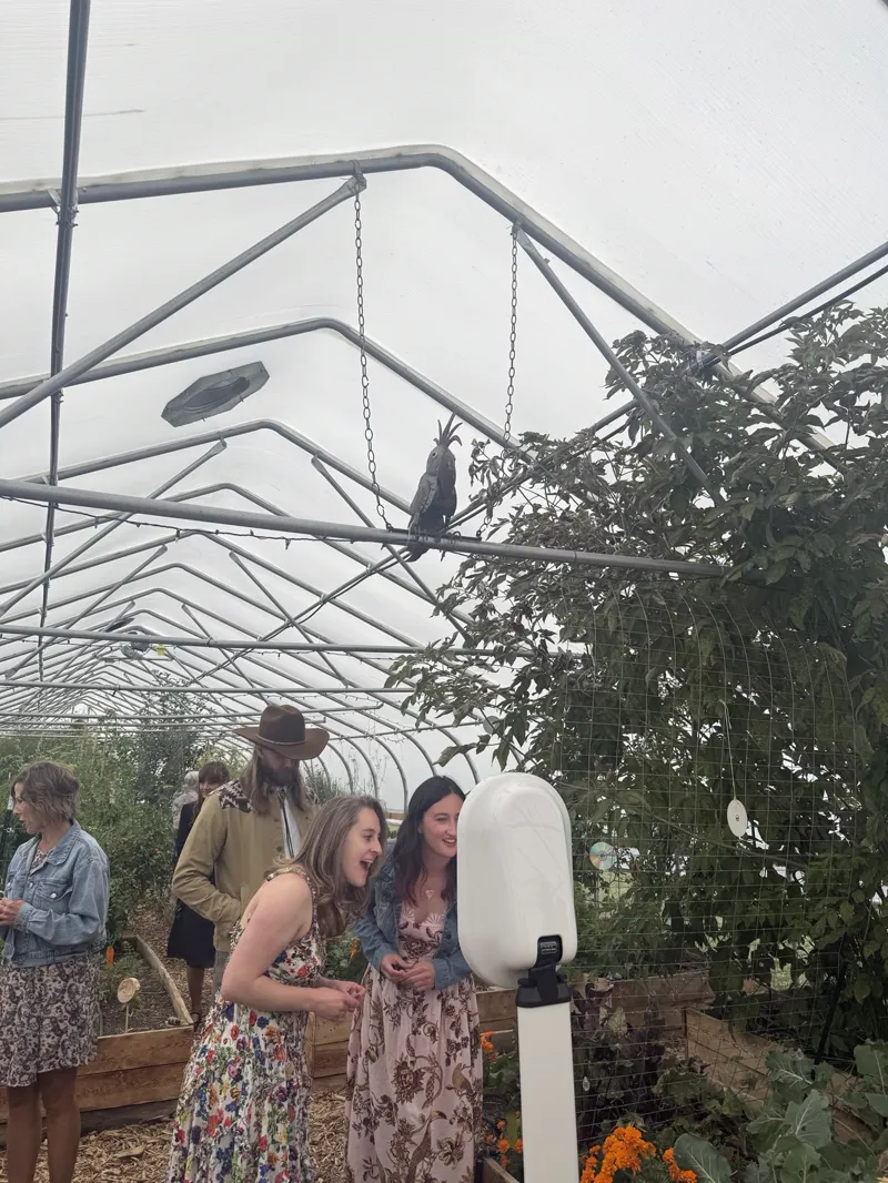 Booth at a greenhouse wedding