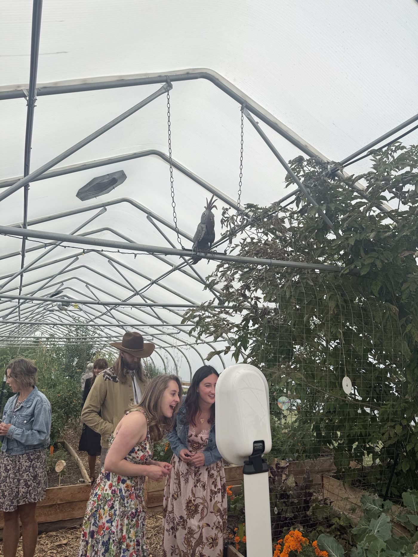 Wedding guests at the photo booth in the greenhouse